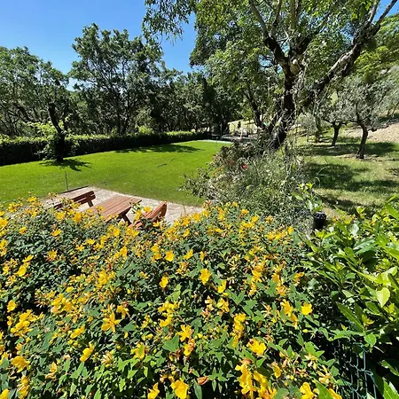 Hotel Spoleto Splash Torettawifiaircondishwasher - Large Terrace, Patio, Gardens *