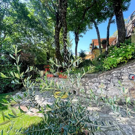Spoleto Splash Torettawifiaircondishwasher - Large Terrace, Patio, Gardens Hotel Strettura