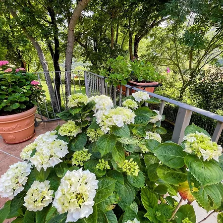 Spoleto Splash Torettawifiaircondishwasher - Large Terrace, Patio, Gardens Hotel